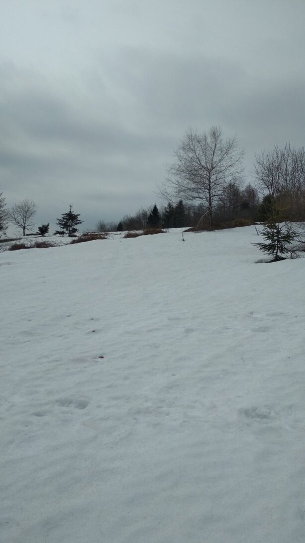 IMG_20220329_104836.jpg