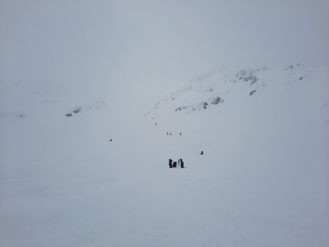 20220410_104019[1].jpg