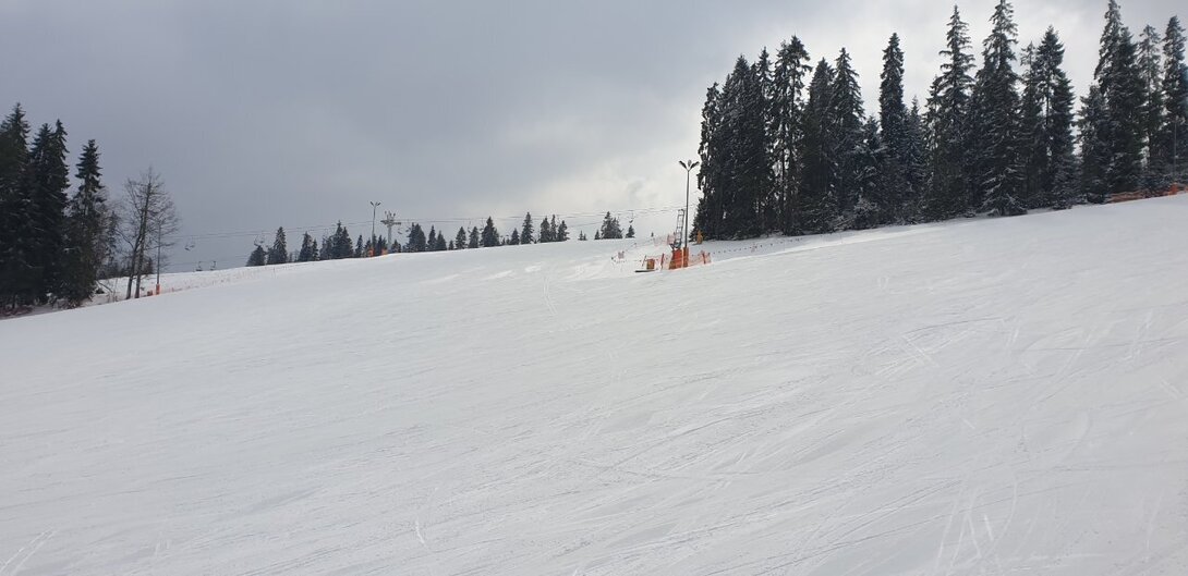 20220403_113813.jpg