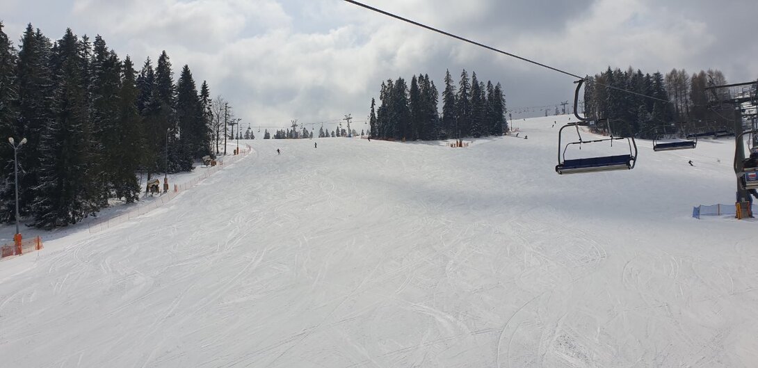 20220403_123157.jpg