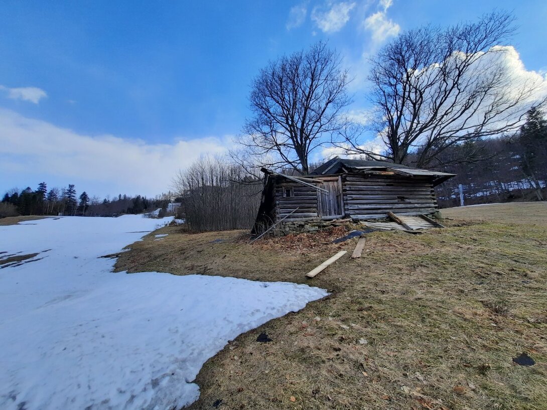 20220411_165139[1].jpg