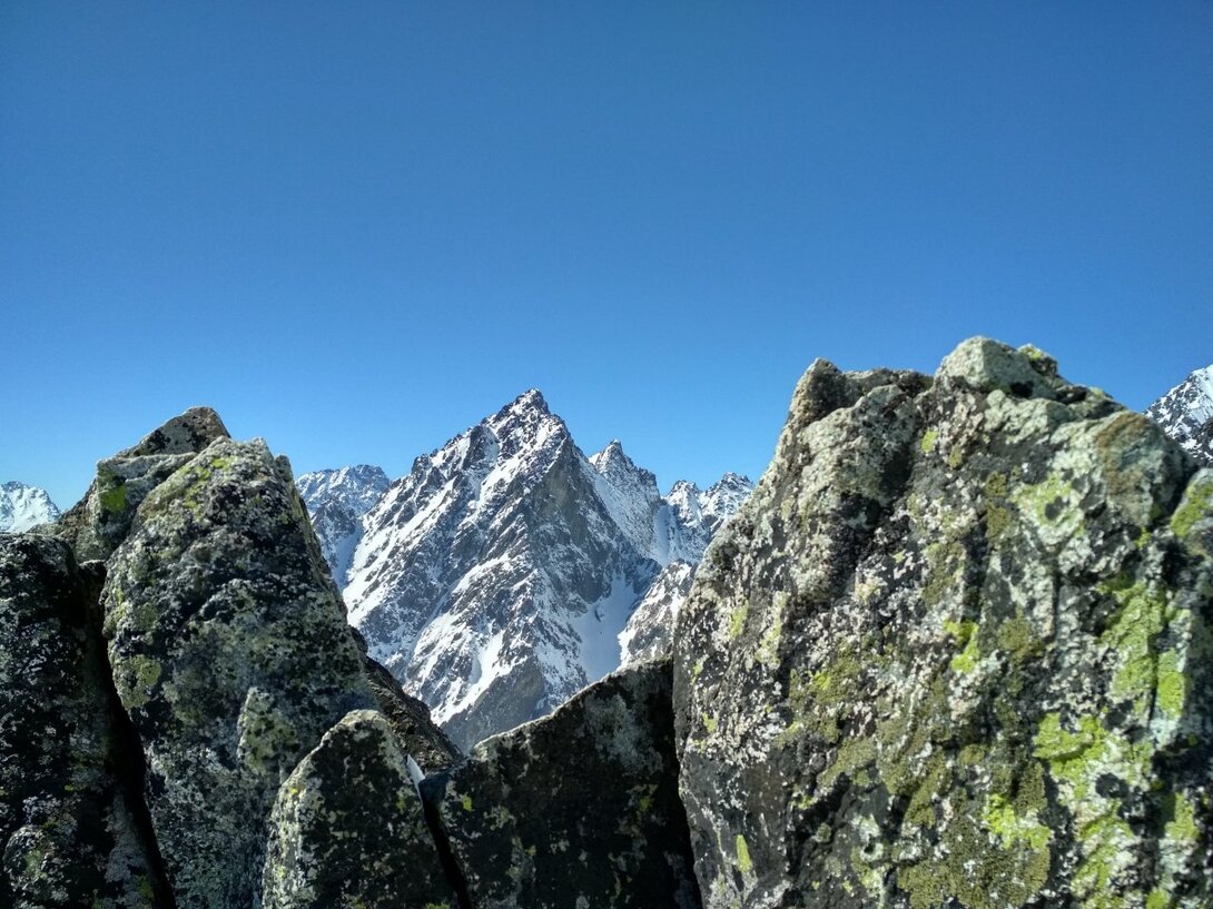 IMG_20220413_122448_HDR.thumb.jpg.b25e8e86086902a5b8e9c4455425650c.jpg