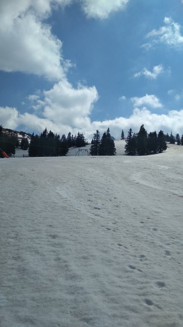 IMG_20220429_141217.jpg