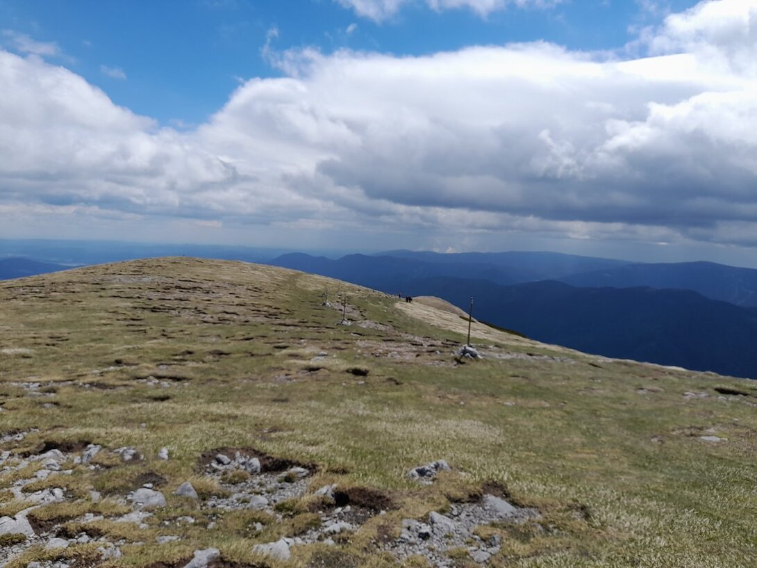 20220528_115829.jpg