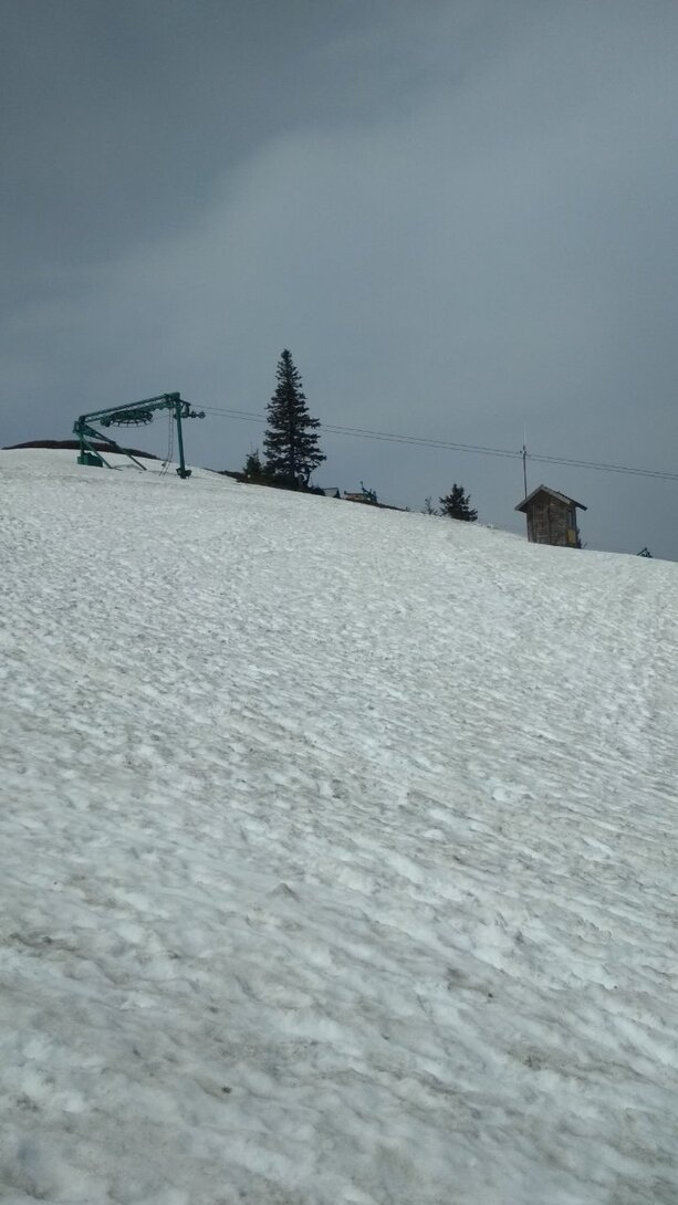 IMG_20220503_111850.jpg