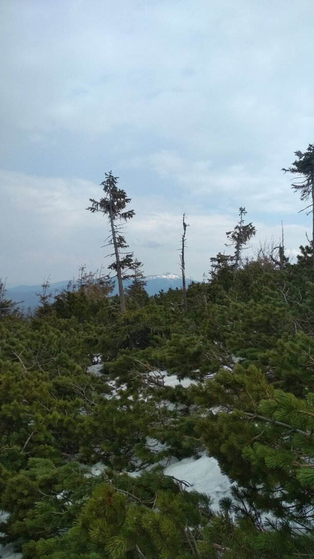 IMG_20220503_113544.jpg