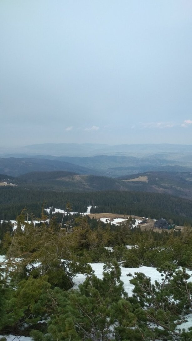 IMG_20220503_113550.jpg