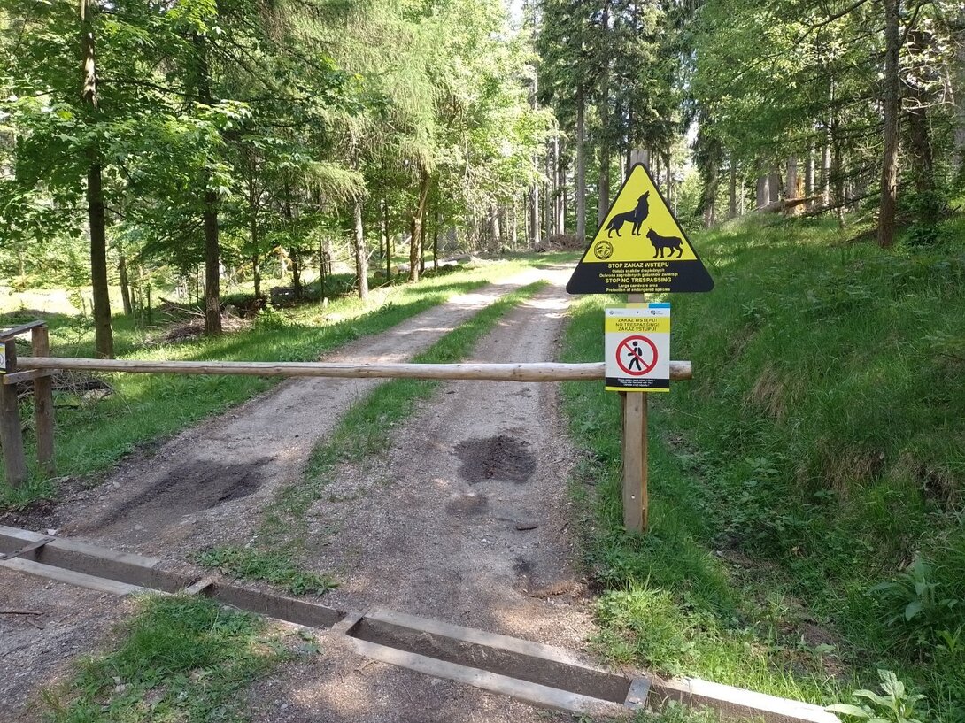 moto1 (57).jpg