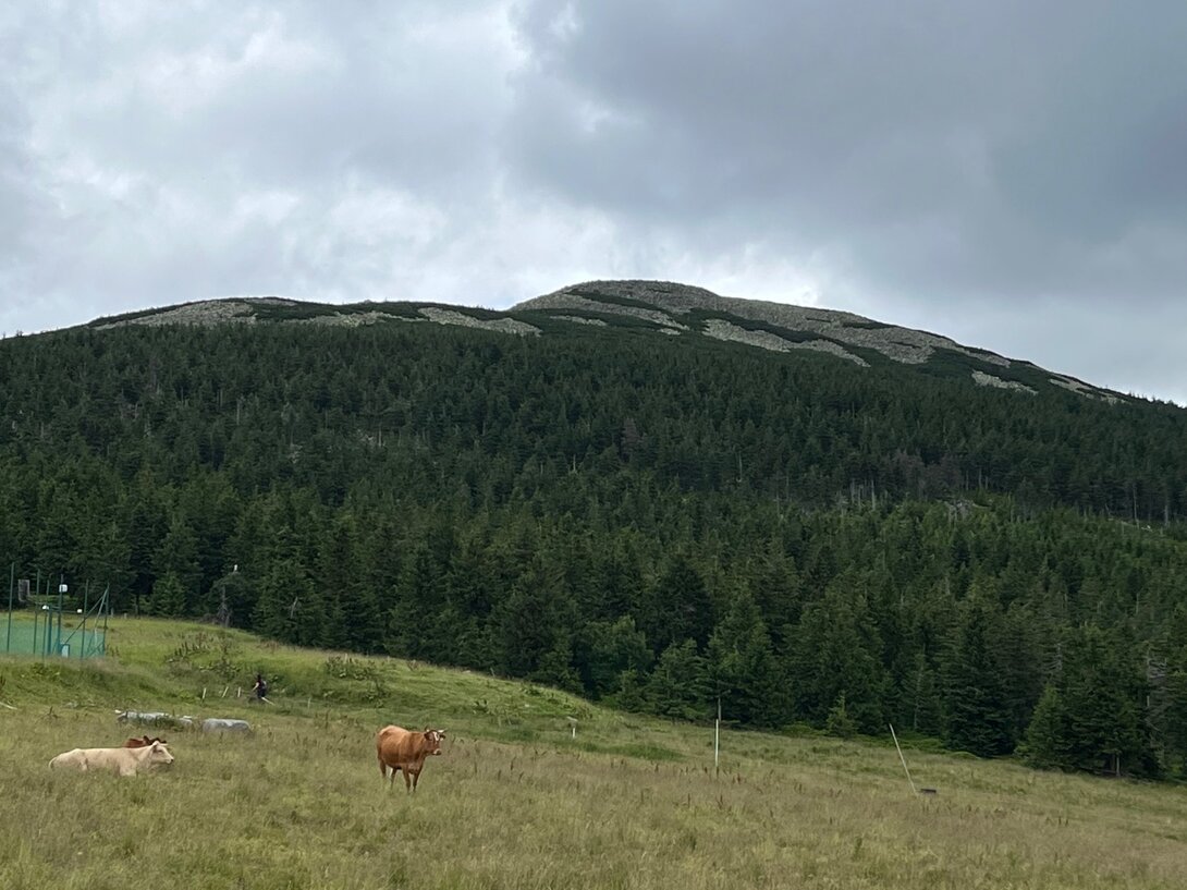 521210AB-D0F4-47F6-B553-532BB740D31C.jpeg