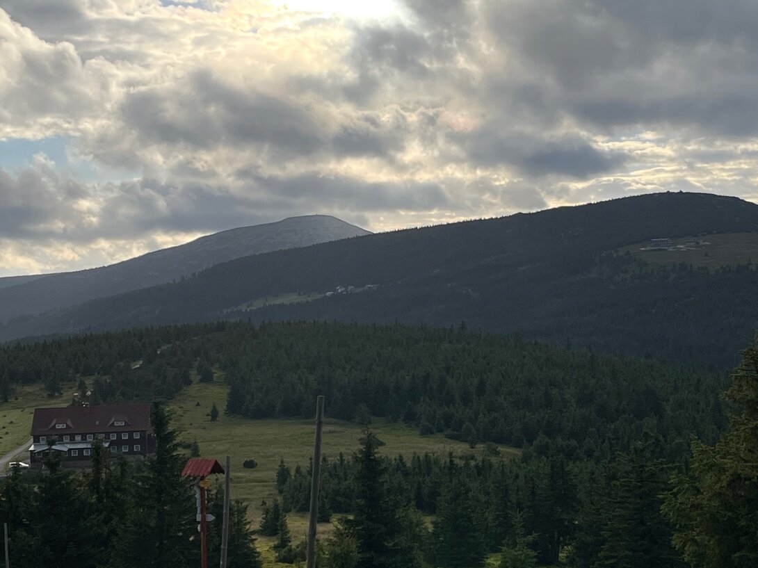 A2EFAA86-E452-418D-B035-4DA50B3733F3.jpeg