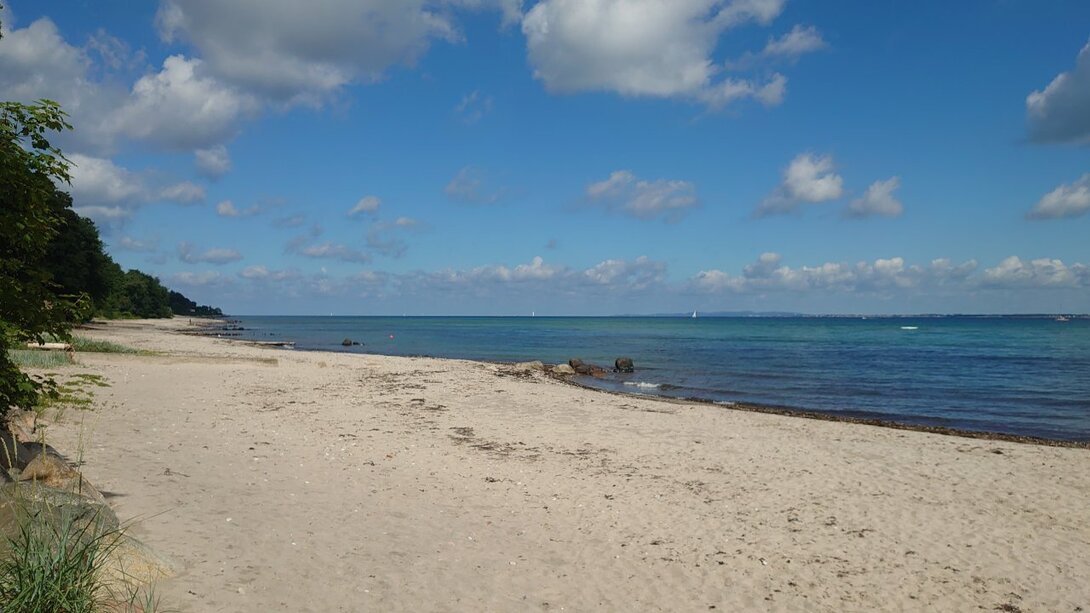 DSC_5175.JPG