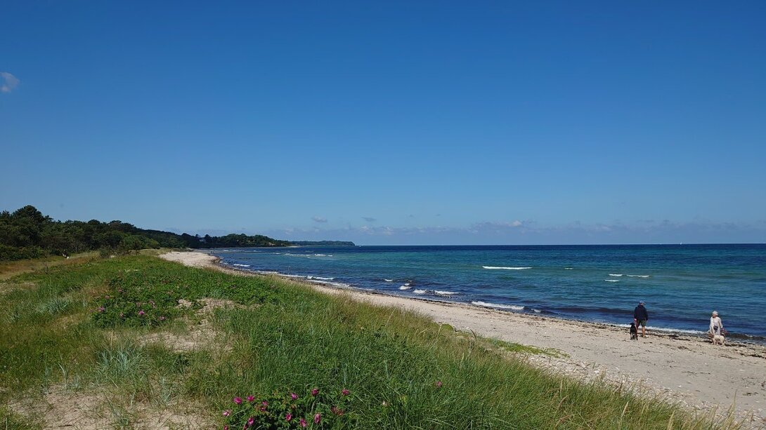 DSC_5178.JPG