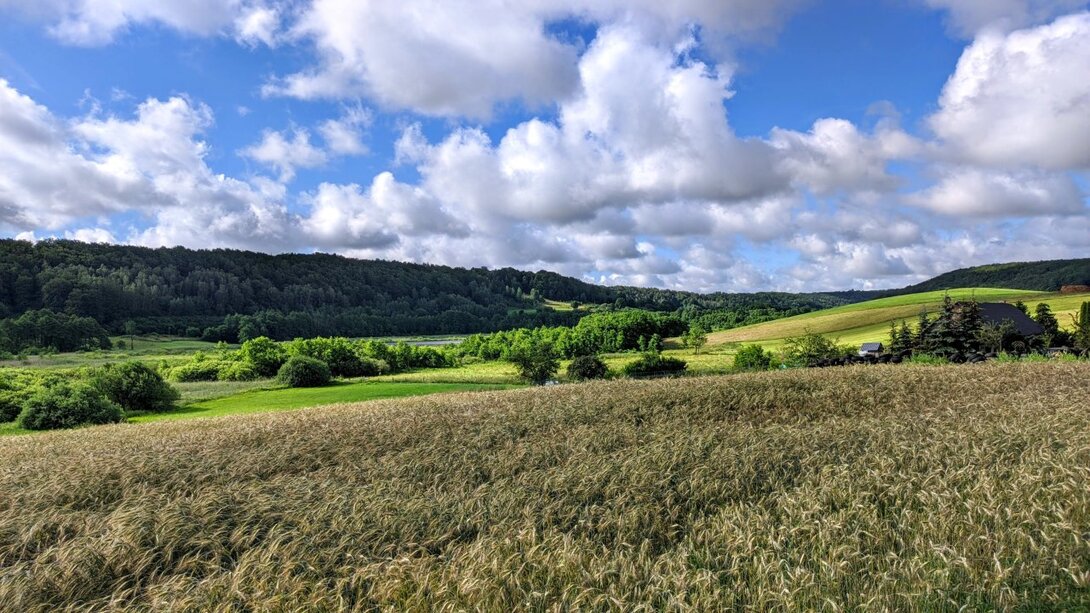 image.thumb.jpeg.d4e45176debf4afa638540fa757527fc.jpeg