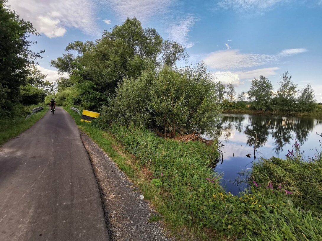 36937207_IMG_20210809_180540DDRRadomierzyce-ZgorzelecPM.thumb.jpg.3ace441ad142e0eccec7f7ca0717f1ad.jpg