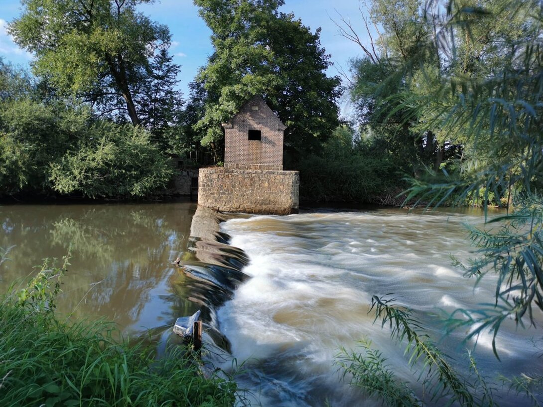 987554882_IMG_20210811_180214DDRRadomierzyce-ZgorzelecPM.thumb.jpg.0cad08beea744794ffef64aae8ce93d9.jpg