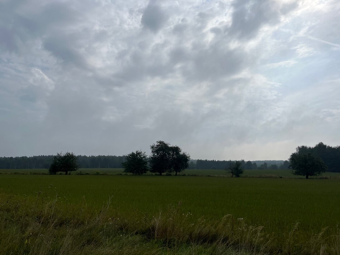 C635536E-C284-43FF-932B-49FFBB5FF0EA.jpeg