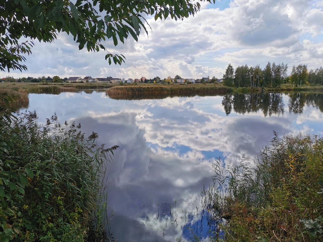 1896607608_IMG_20220929_123327KoleRogiStawyPKM.thumb.jpg.8709b6cd00c0bfb12a791f4795a2f173.jpg
