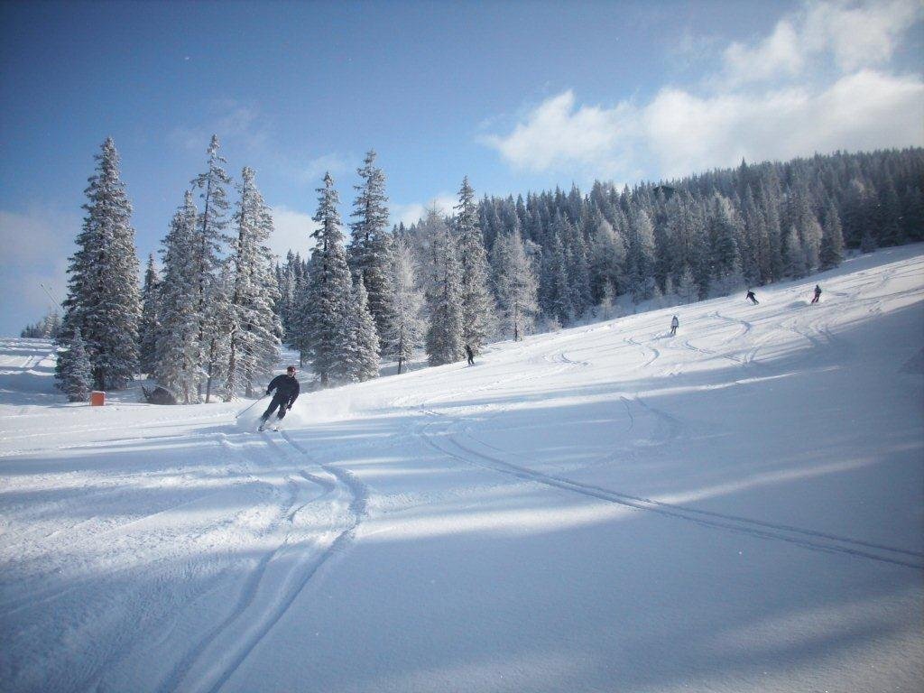 1628392285_IMG_07731.jpg.644875923746318a2747c0a3d8b36690.jpg