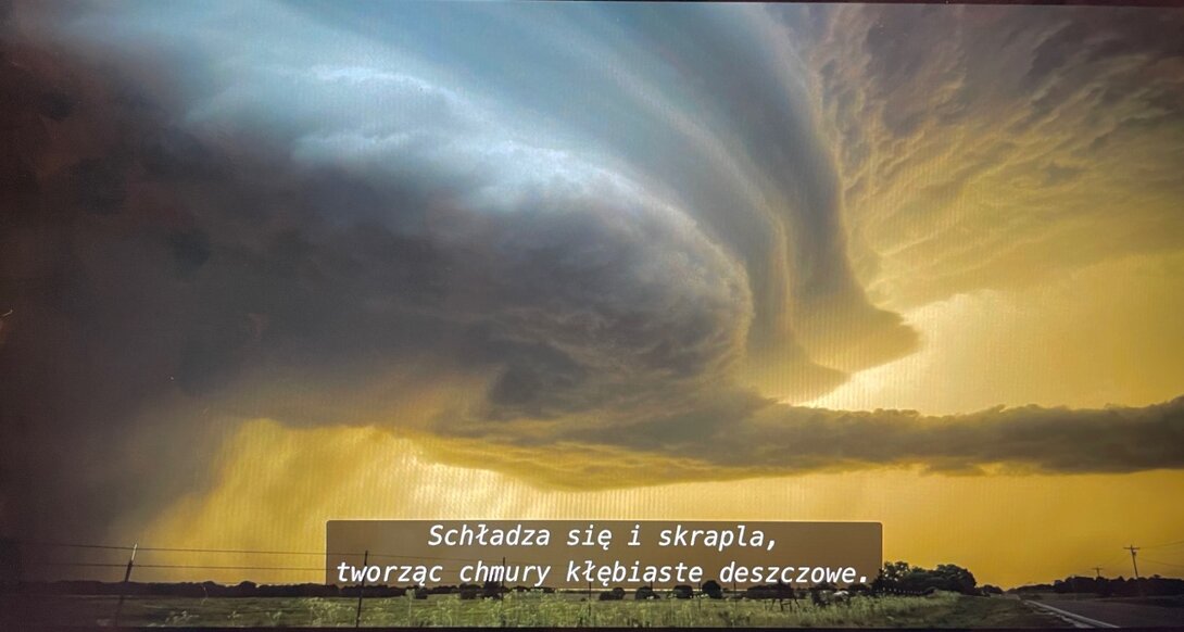 B2DC378B-6A5F-4199-881B-D96E07BCCC50.thumb.jpeg.6c0924de50493d09011d4a411d09cc65.jpeg