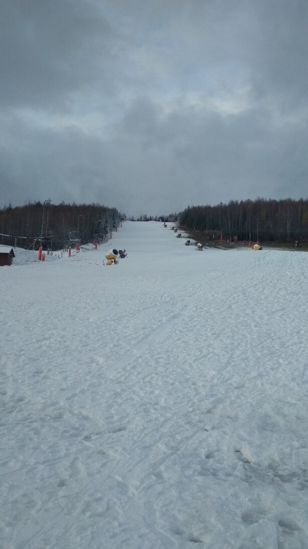 IMG_20221121_085134.jpg