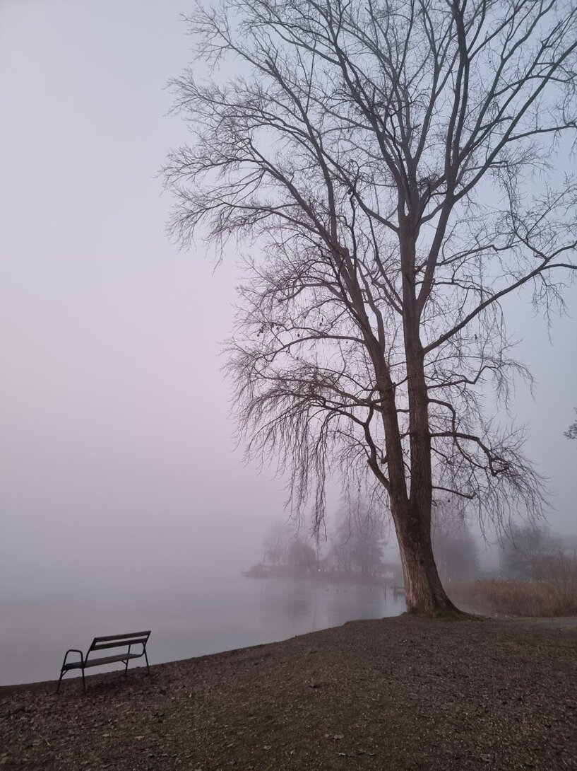 20221226_073005.thumb.jpg.197ff2d80e59318dfb7842861ac03446.jpg