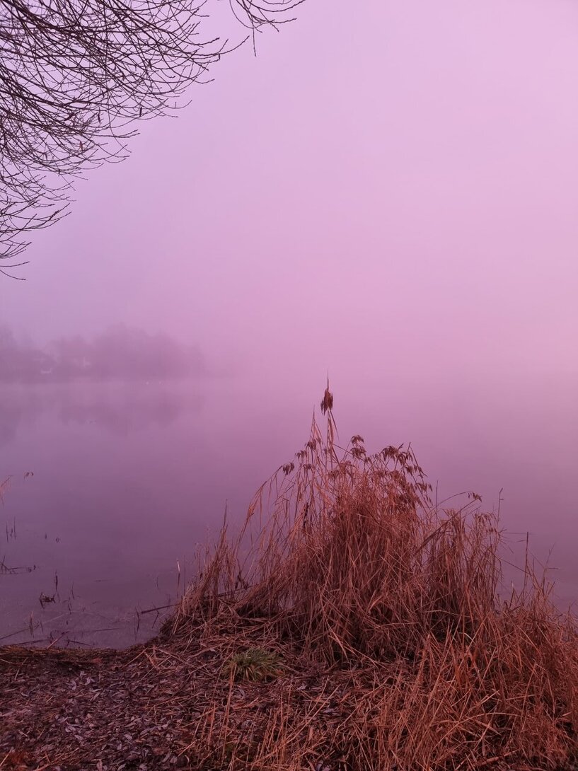 20221226_073222.thumb.jpg.9ca73a94aecd2ec2ddfd654833c91e9c.jpg