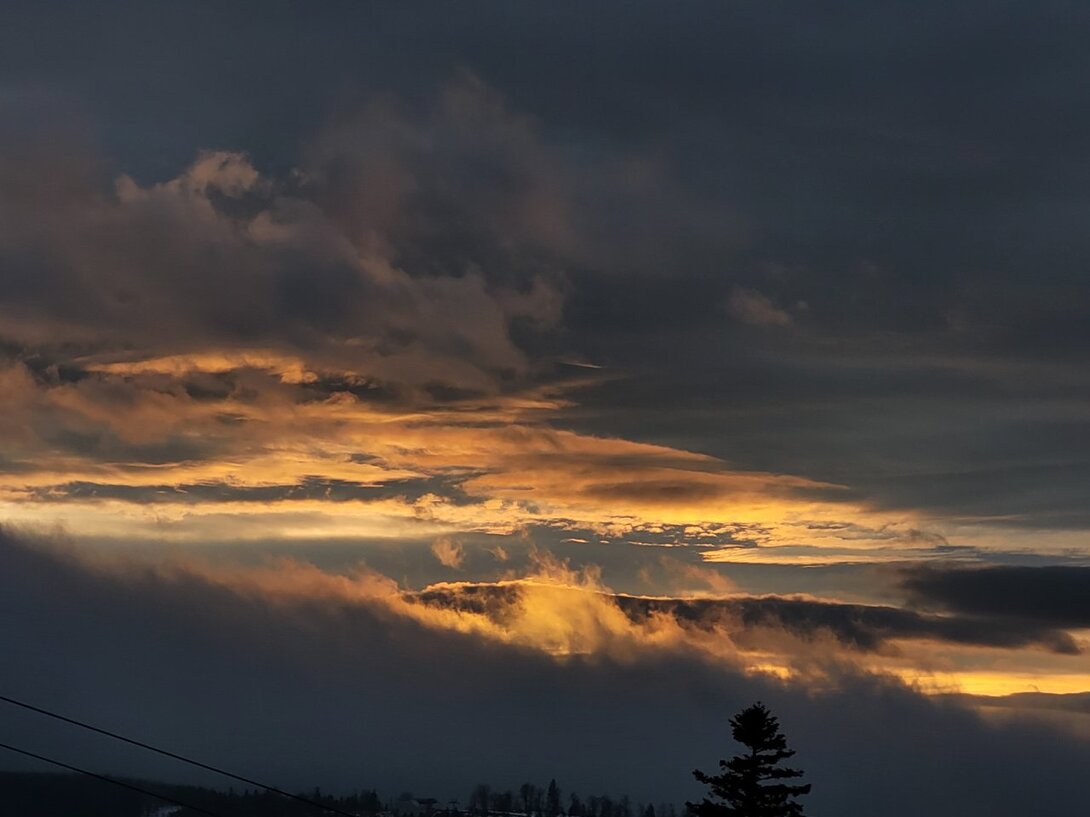 20221231_154005.thumb.jpg.79daaeef2356dbf058d4e6c4b7fcd694.jpg