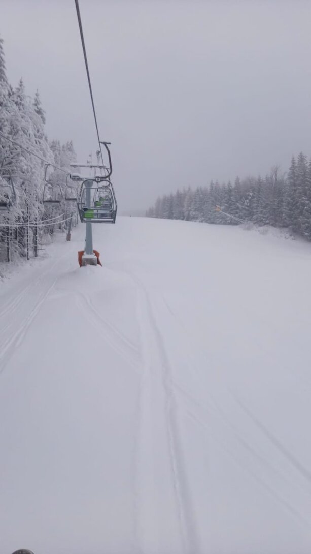 IMG-20221217-WA0007.thumb.jpg.dd2fbe1941df38308d1a501ade899067.jpg