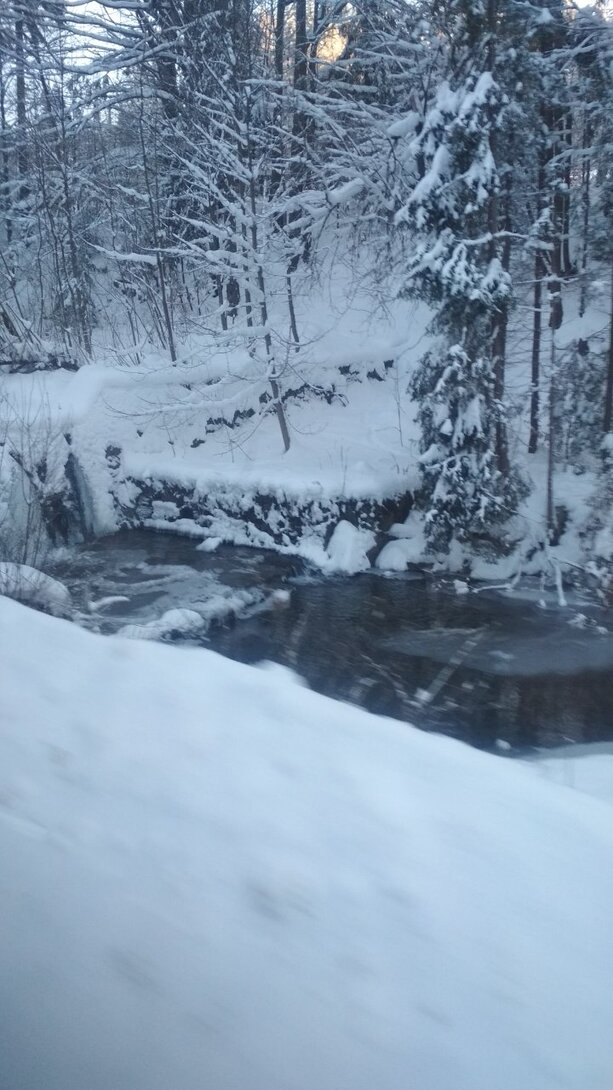 IMG_20221218_091510.jpg