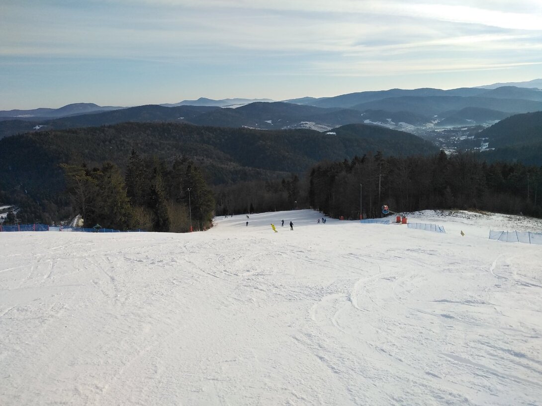 IMG_20221228_095534.jpg