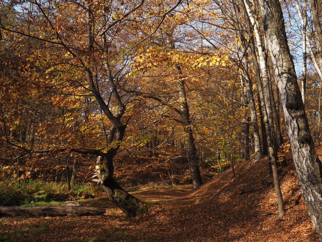 PA300367.JPG