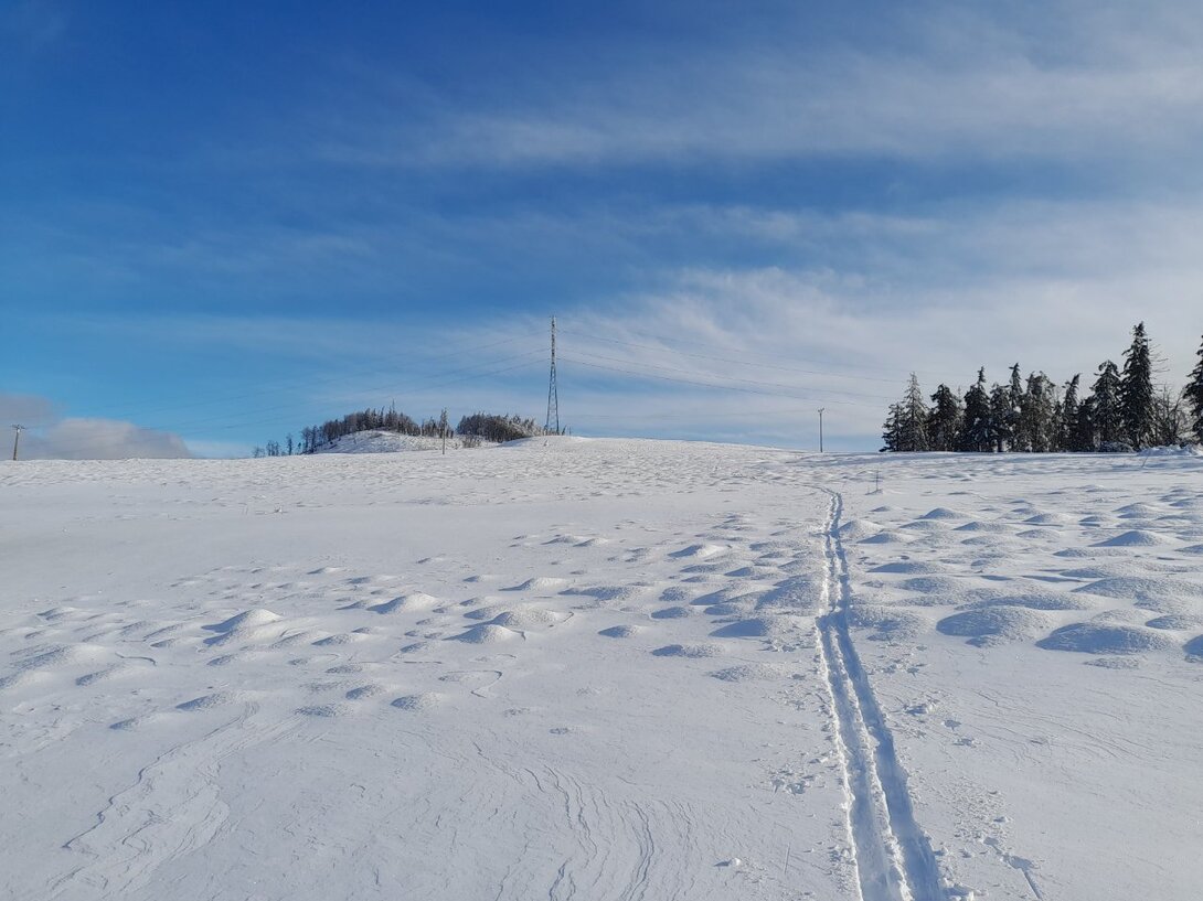 20230121_131520.jpg