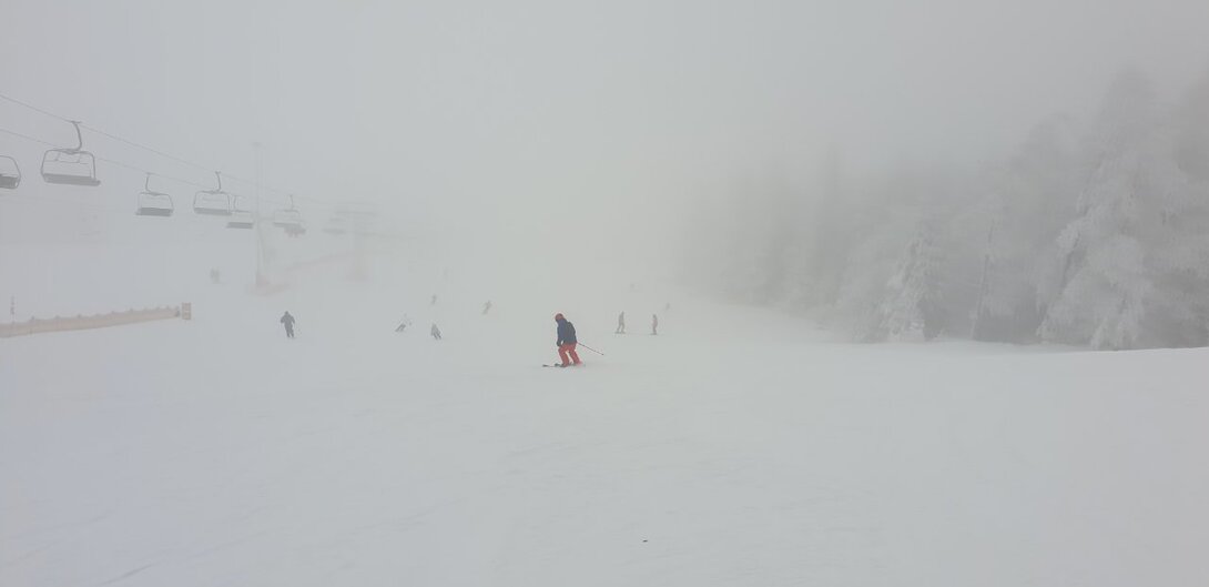 20230128_091156.jpg