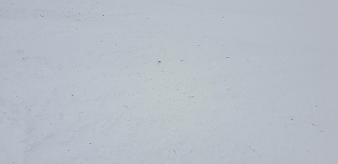 20230128_103430.jpg