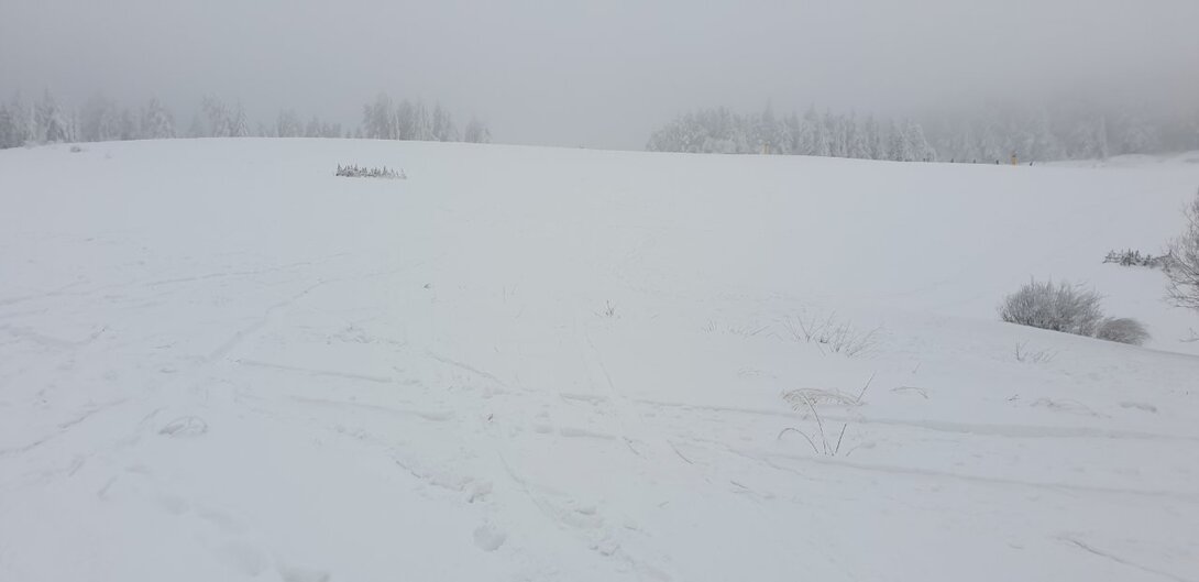 20230128_144051.jpg