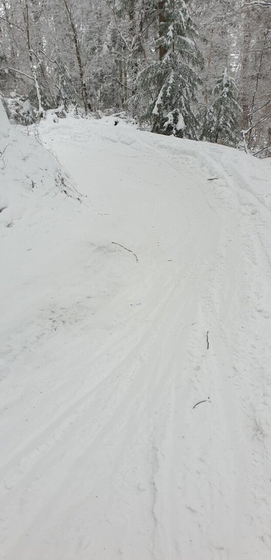 20230128_150121.jpg