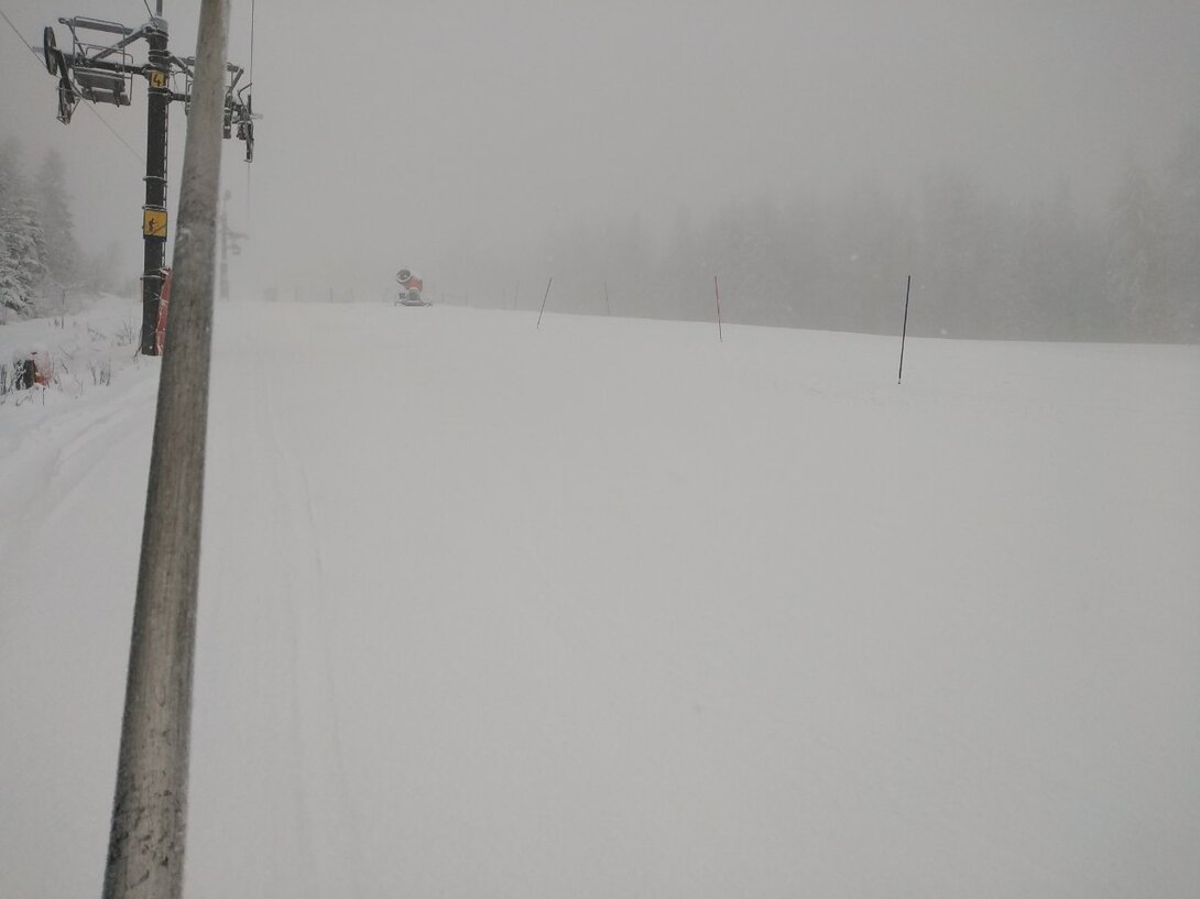 IMG_20230117_091723.jpg
