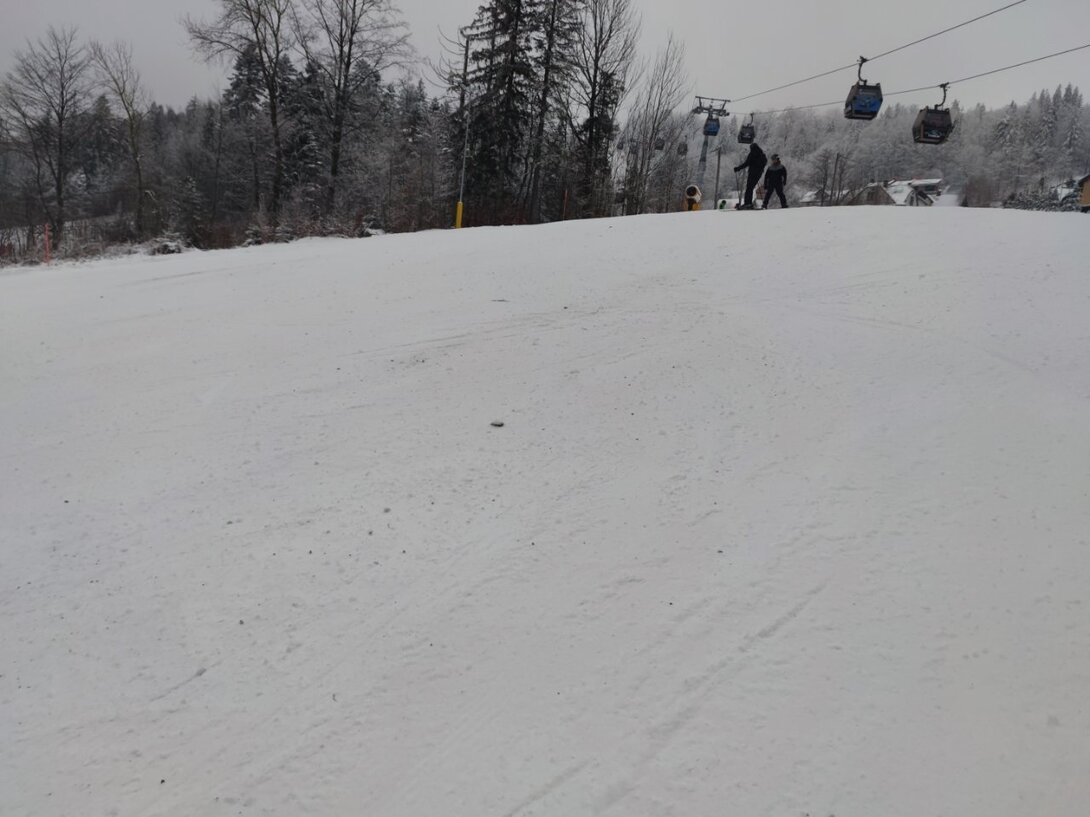 IMG_20230128_091550.jpg