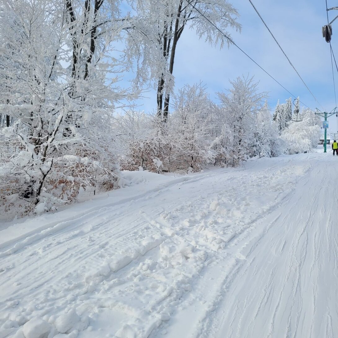 SAVE_20230129_115051.jpg