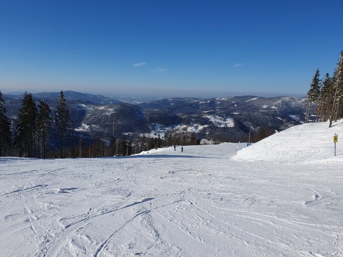 20230209_140937.jpg