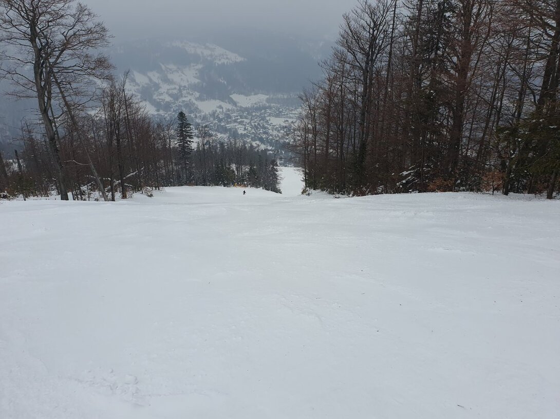 20230211_145546.jpg