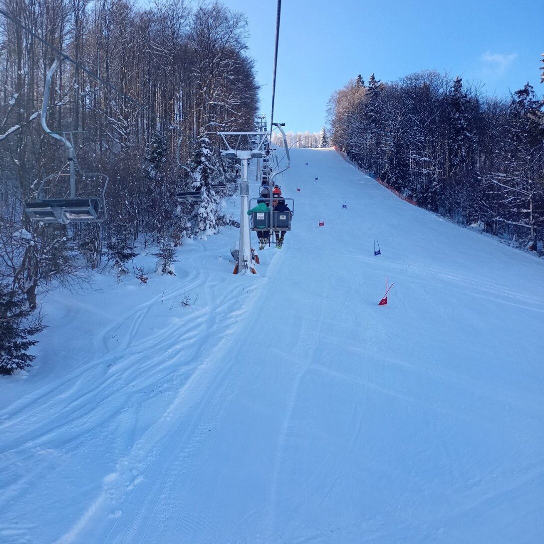 IMG20230208131233.jpg