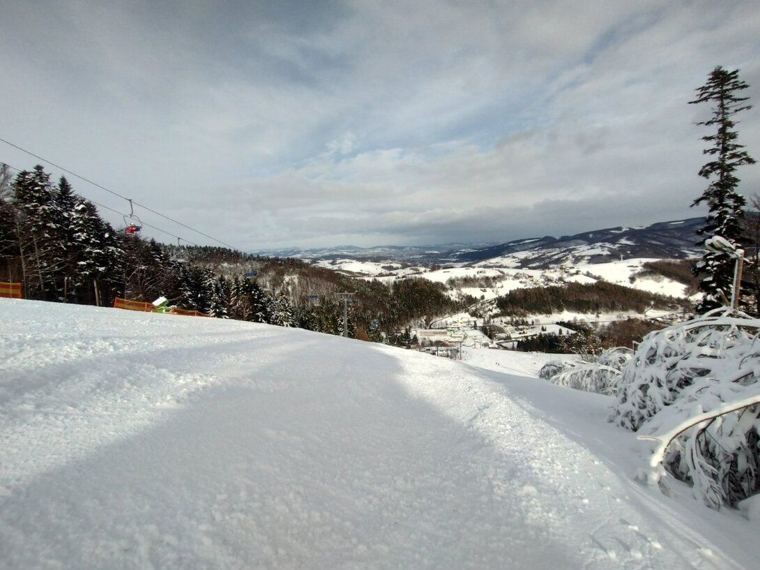 IMG_20230201_111713097_HDR.thumb.jpg.cb41694b9cf44b02062ac2c44c07d6b6.jpg