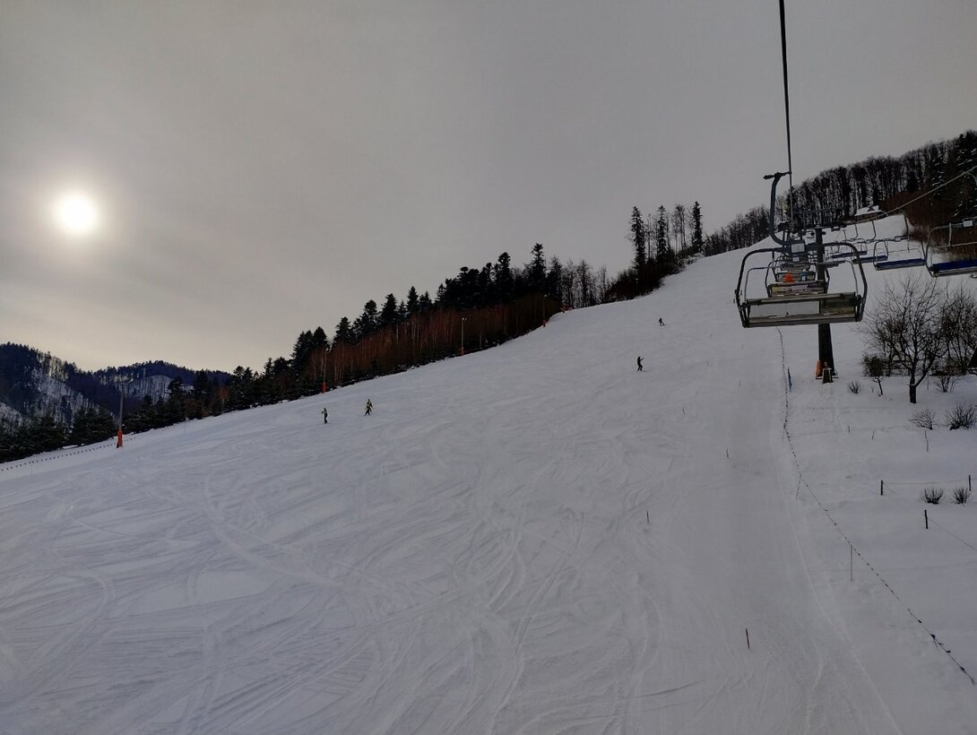 IMG_20230203_093445607_HDR.jpg