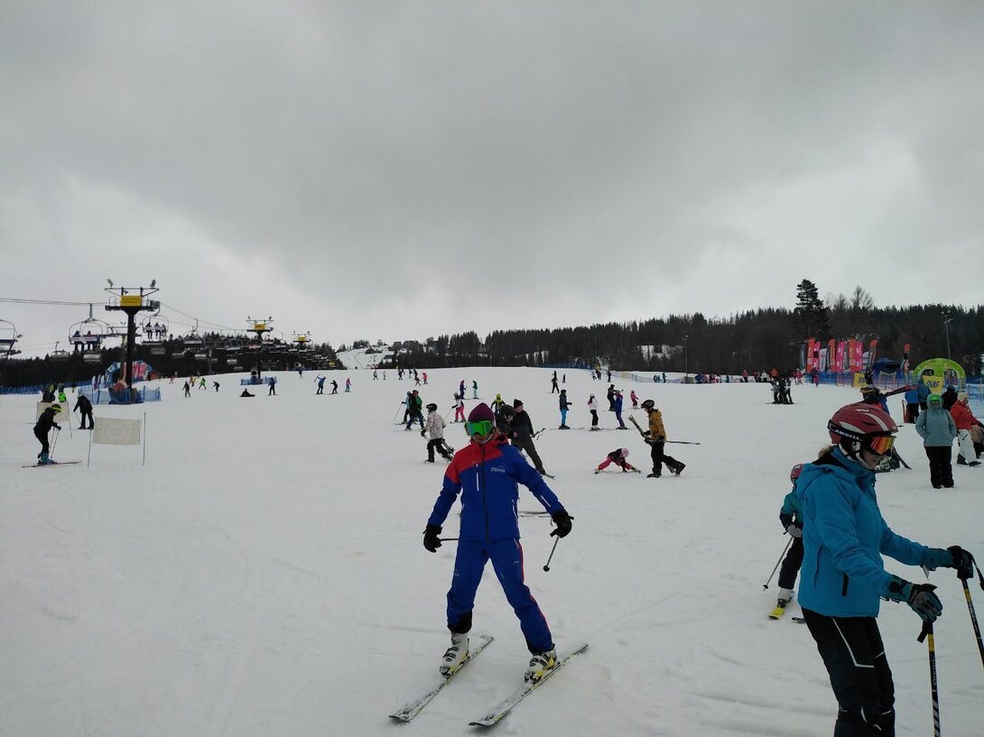 IMG_20230218_113050.jpg