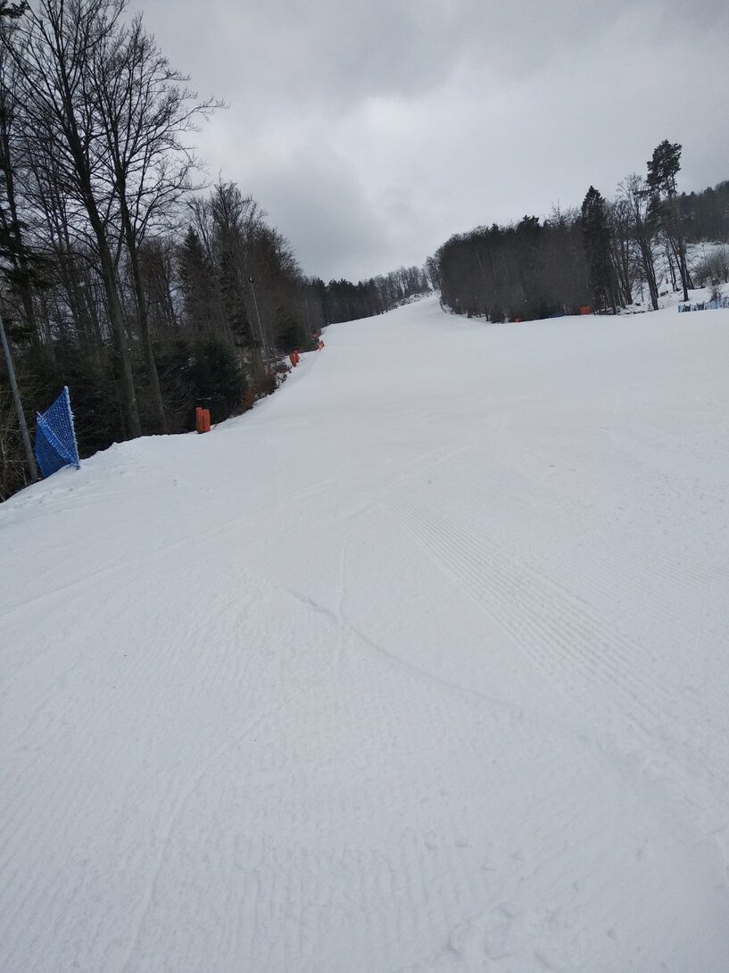 IMG_20230227_091449.jpg