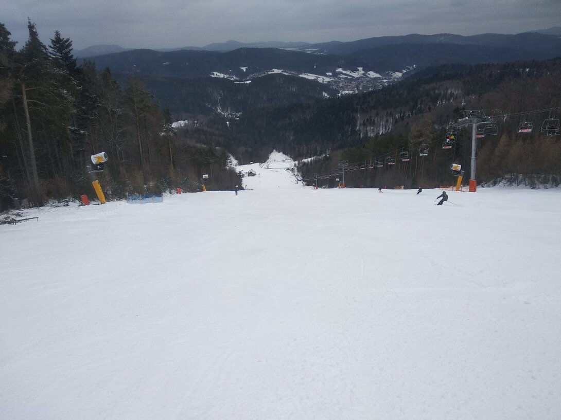 IMG_20230227_125831.jpg