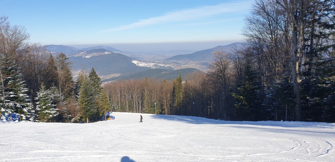 20230301_093243.jpg
