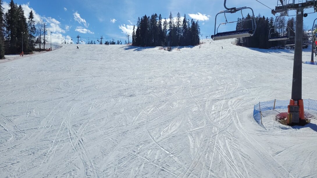 20230310_123642.thumb.jpg.618144e152c58e18393810dc8f18b8ff.jpg
