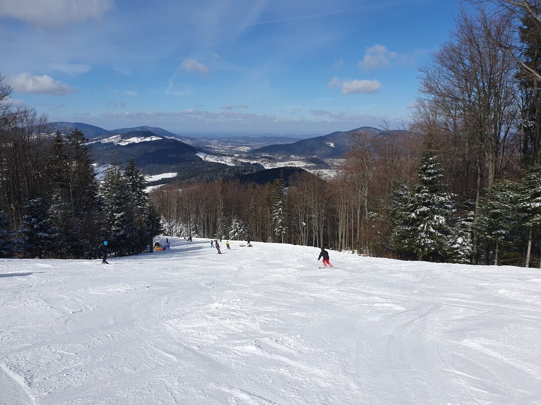 20230312_114039.jpg